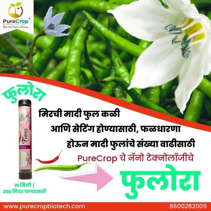 Fulora Organic Flower Growth Promoter for enhanced flower production, reduced fruit drop, and improved yields in crops like grapes, mangoes, tomatoes, and pomegranates. Eco-friendly solution for better pollination and fruit setting.