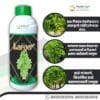 A bottle of Pure Larger+ placed next to vibrant, shiny, long-shaped grapes on a vine, showcasing its benefits for enhancing grape quality and appearance.