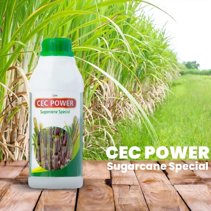 CEC POWER sugarcane special