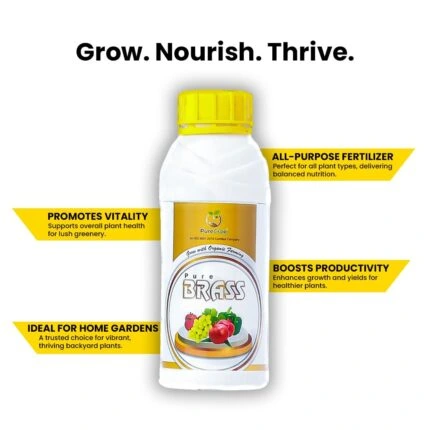 Pure Brass Pure Brass