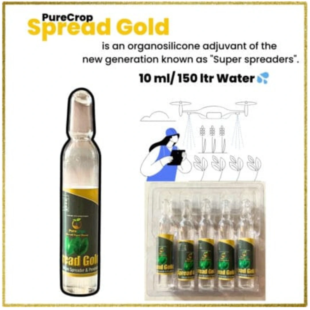 Spread Gold Spread Gold