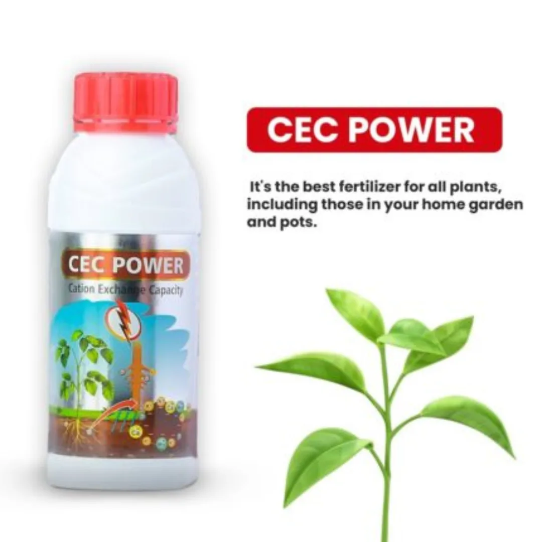 CEC power CEC power