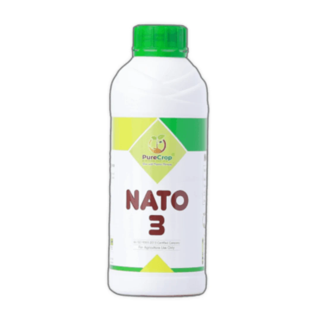 Nato 3 Nato 3