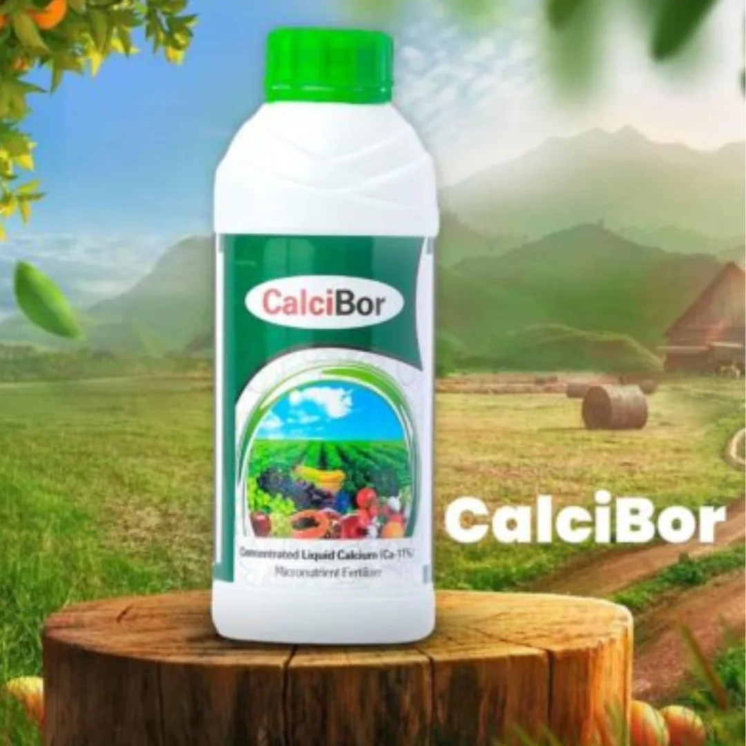 Calcibor Calcibor