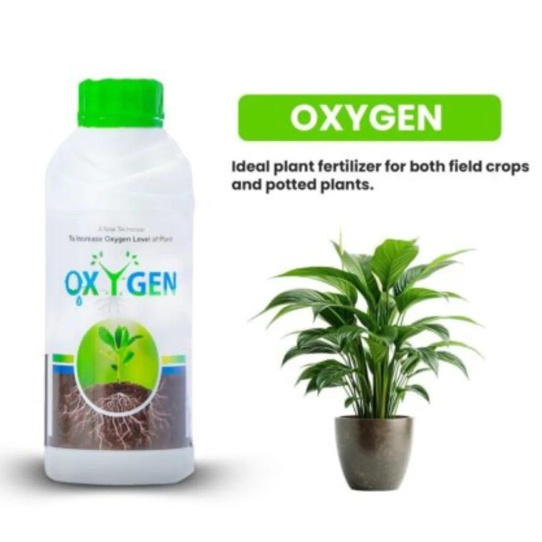 Oxygen Oxygen
