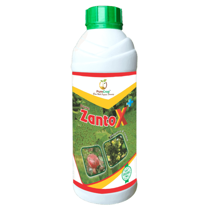 ZantoX Plus Organic Solution for Healthy Grape Crop Growth