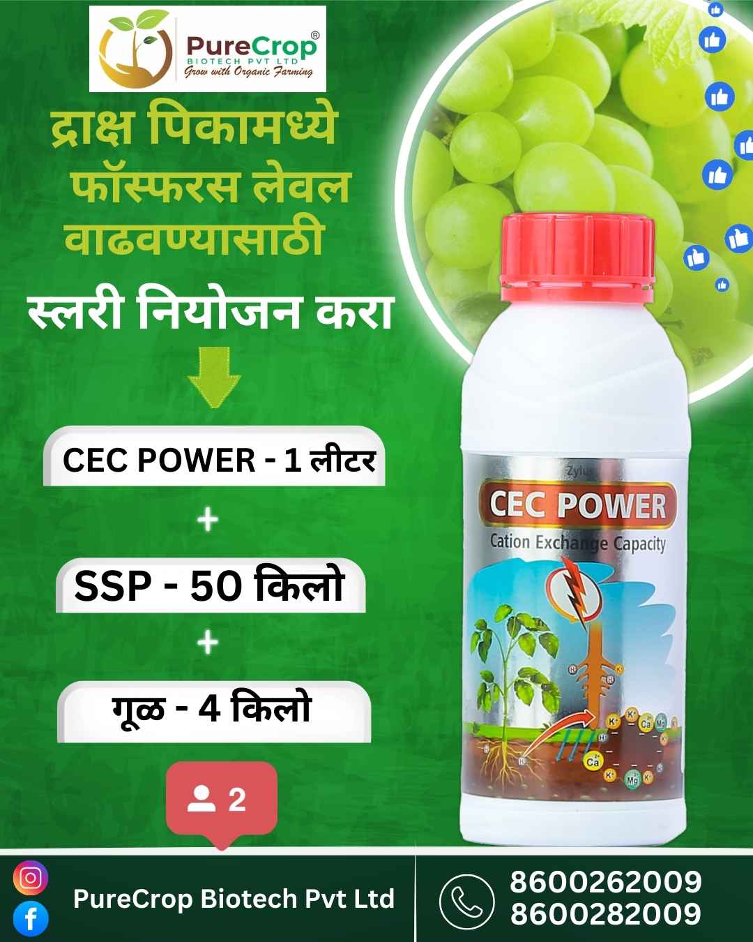 फॉस्फरस व्यवस्थापन