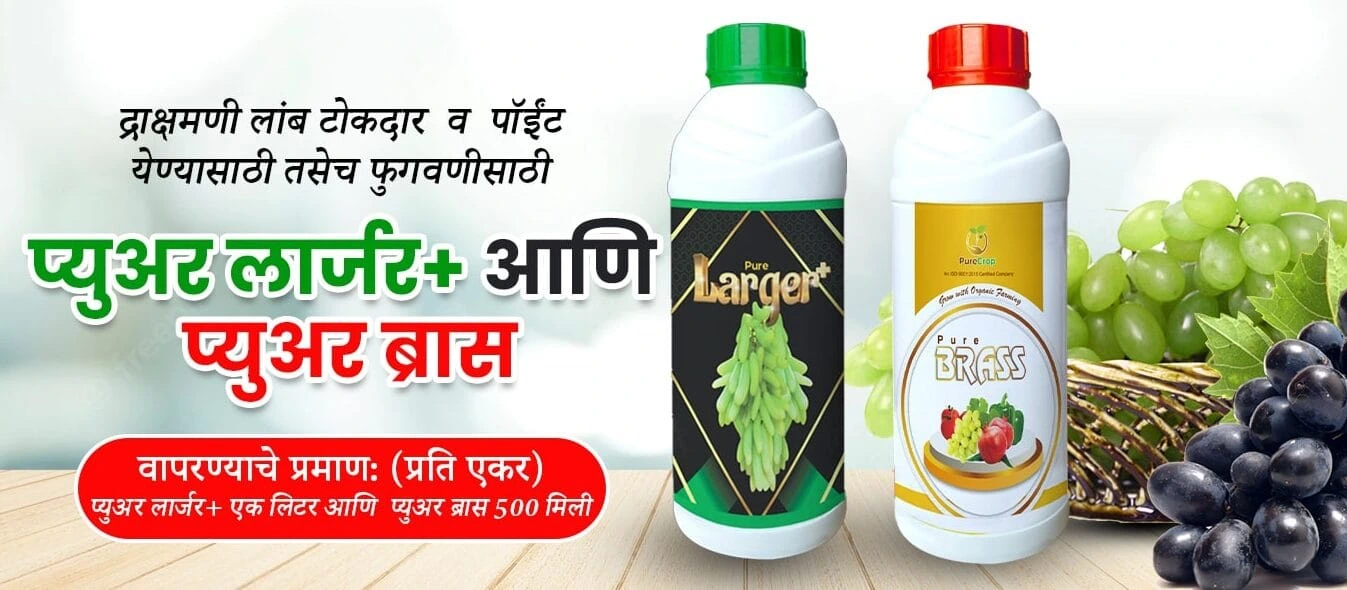 banner-2-min-e1737130965125