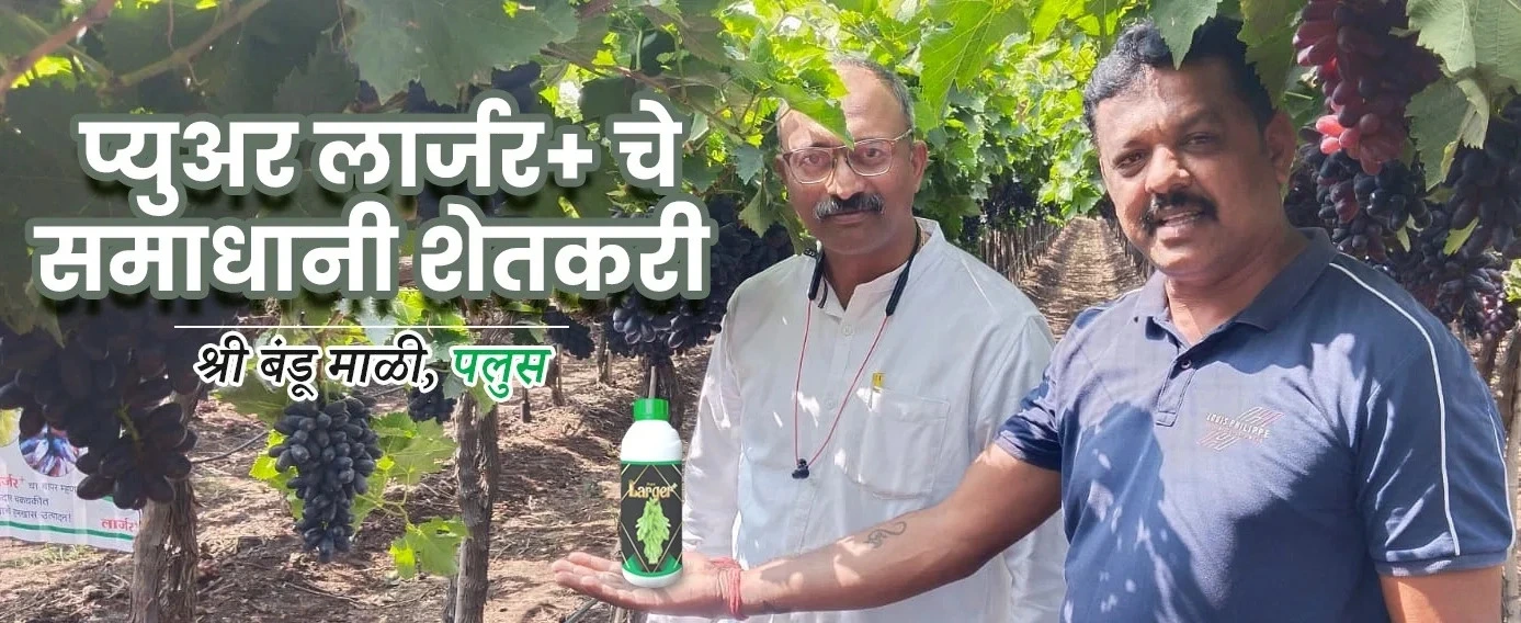 larger-2-e1737131131932