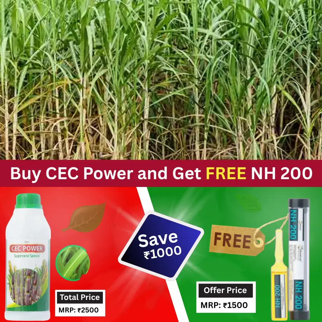 Offer Price 1500 Rs Cec Power Sug 1 Ltr + Free NH 200 (5 ml)